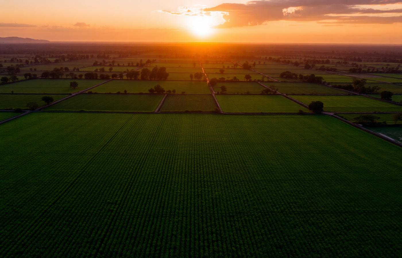 EshmartAgrox fields